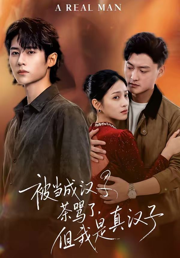 被当成汉子茶骂了，但我是真汉子(全集)